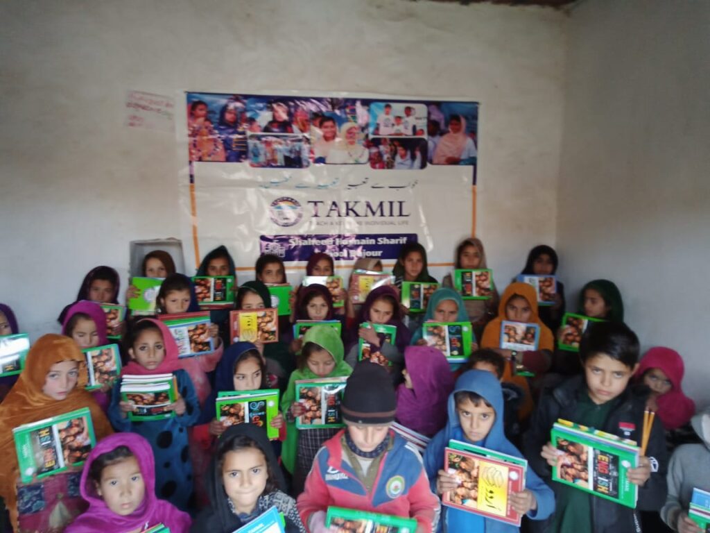 Shaheed Hasnain Sharif School